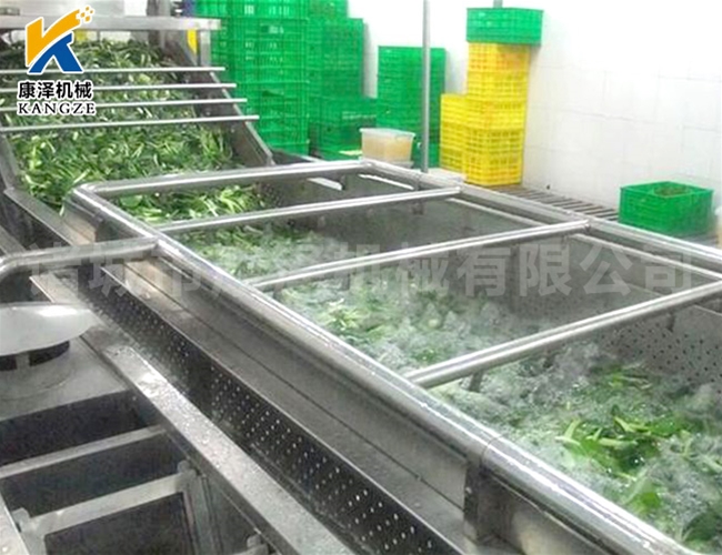 氣泡蔬菜清洗設(shè)備